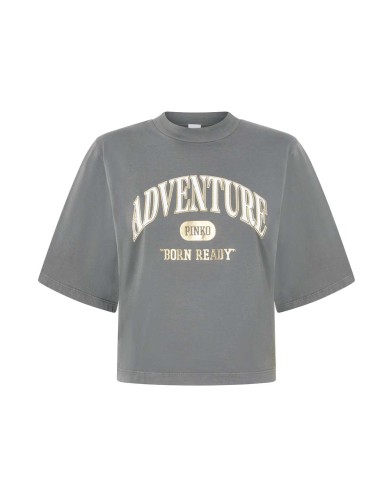 PINKO T-SHIRT ADVENTURE MANICHE CORTE GRIGIO/GABBIANO SCURO 104604 125