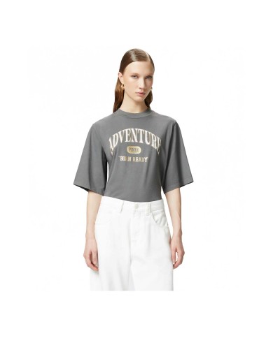 PINKO T-SHIRT ADVENTURE MANICHE CORTE GRIGIO/GABBIANO SCURO 104604 125