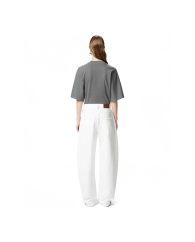 PINKO T-SHIRT ADVENTURE MANICHE CORTE GRIGIO/GABBIANO SCURO 104604 125