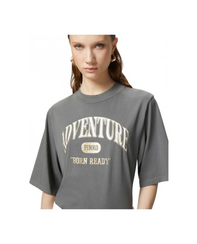 PINKO T-SHIRT ADVENTURE MANICHE CORTE GRIGIO/GABBIANO SCURO 104604 125