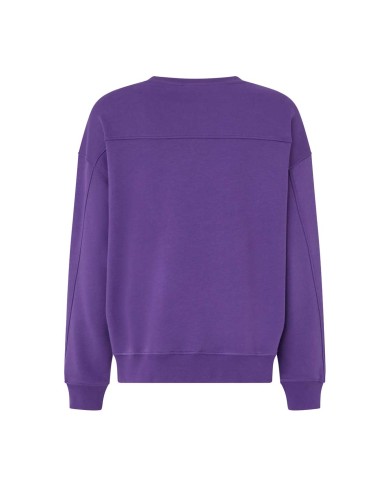 PINKO FELPA GIROCOLLO CON RICAMO GIOIELLO LOVE BIRDS VIOLA 100534 225