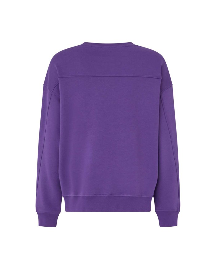 PINKO FELPA GIROCOLLO CON RICAMO GIOIELLO LOVE BIRDS VIOLA 100534 225