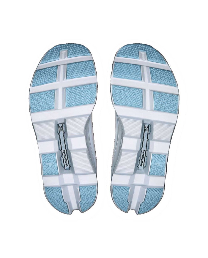 ON RUNNER CLOUDMONSTER FROST WASH 225